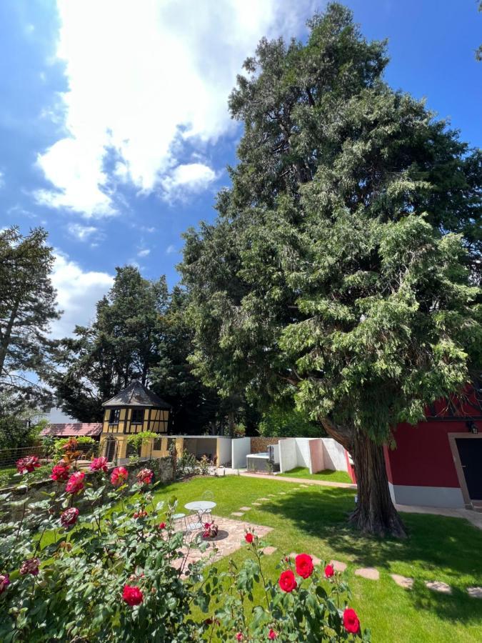 Holiday home Le Parc Du Sequoia & Proche Colmar Et Riquewihr