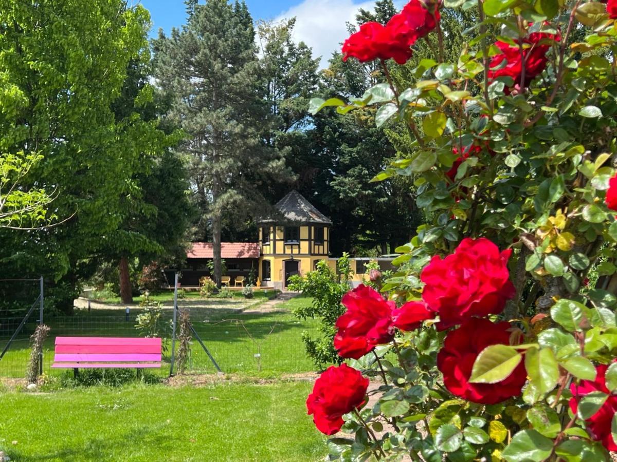 Holiday home Le Parc Du Sequoia & Proche Colmar Et Riquewihr *