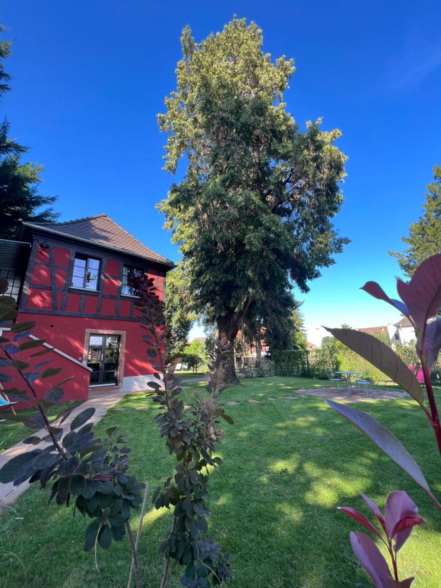 Holiday home Le Parc Du Sequoia & Proche Colmar Et Riquewihr