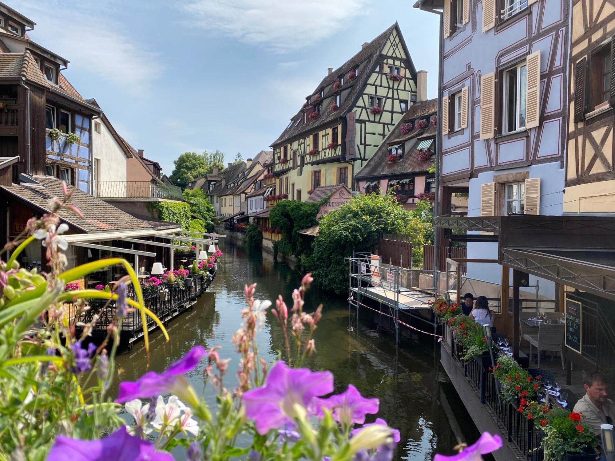 Le Parc Du Sequoia & Proche Colmar Et Riquewihr *