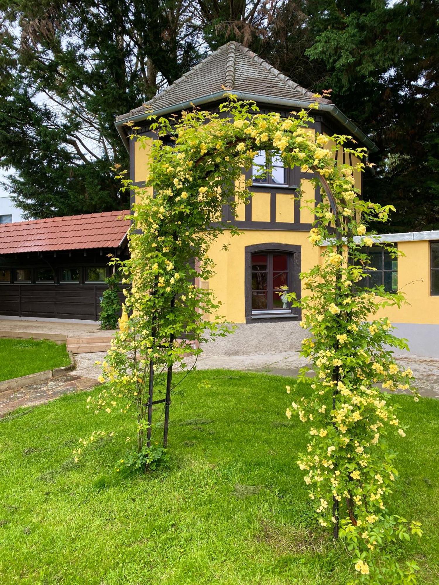 Le Parc Du Sequoia & Proche Colmar Et Riquewihr Holiday home *