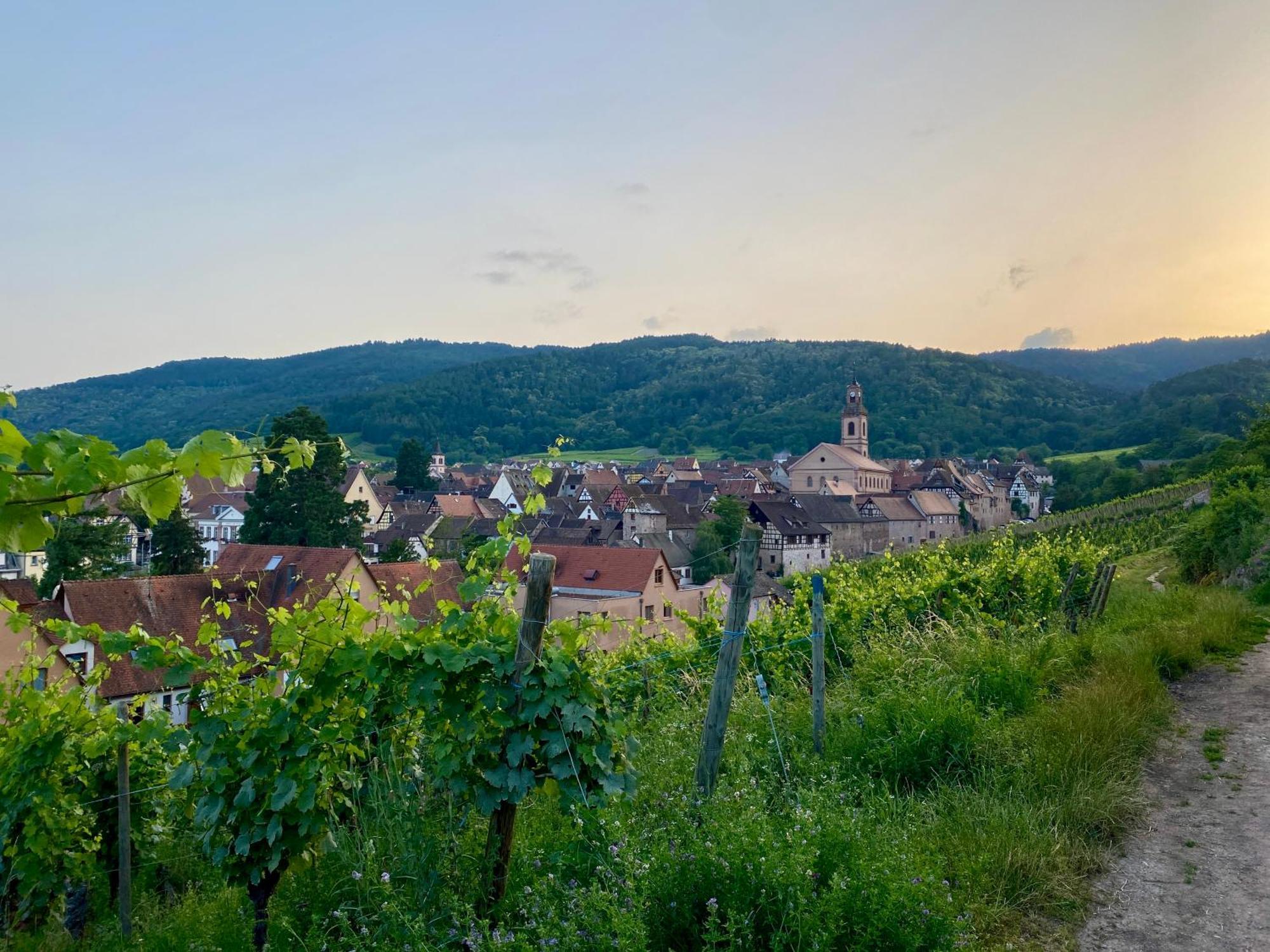 Le Parc Du Sequoia & Proche Colmar Et Riquewihr Holiday home