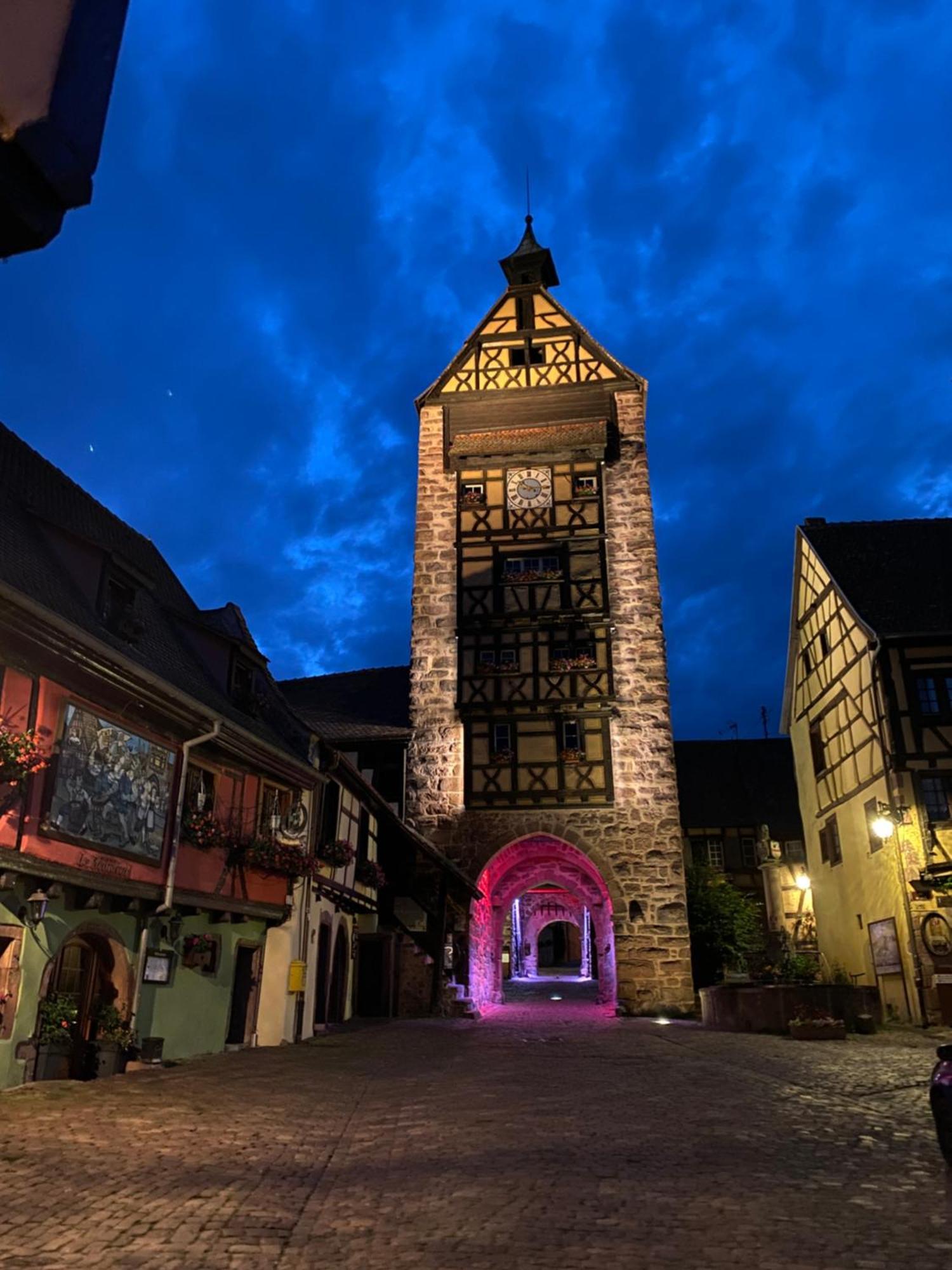 Le Parc Du Sequoia & Proche Colmar Et Riquewihr Casa vacanze