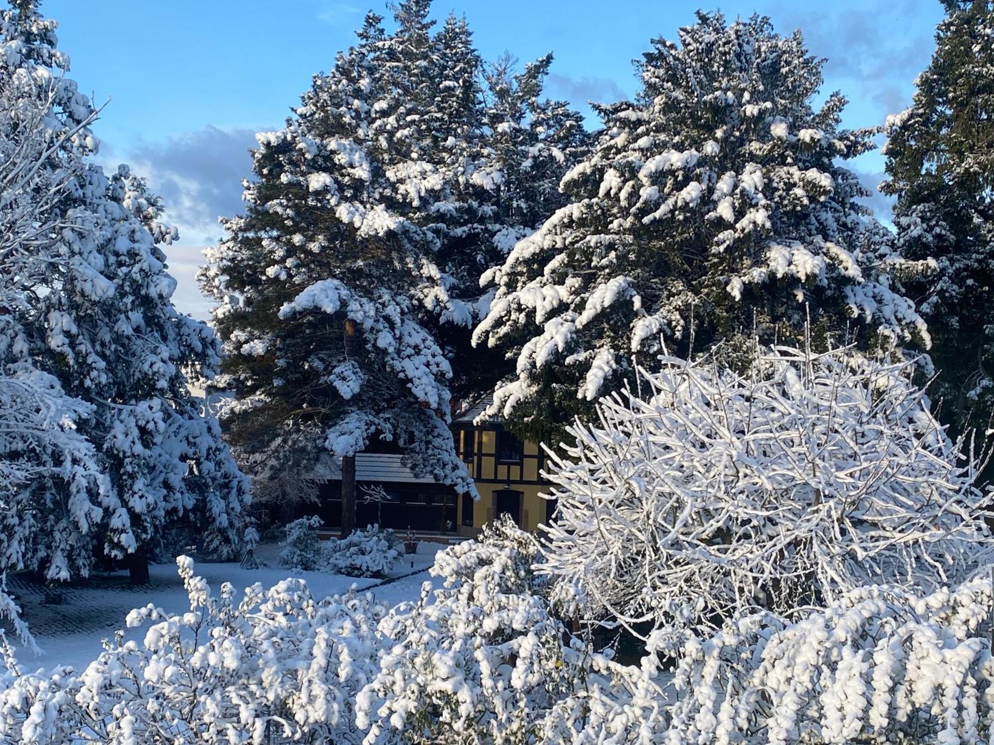 Le Parc Du Sequoia & Proche Colmar Et Riquewihr Holiday home *