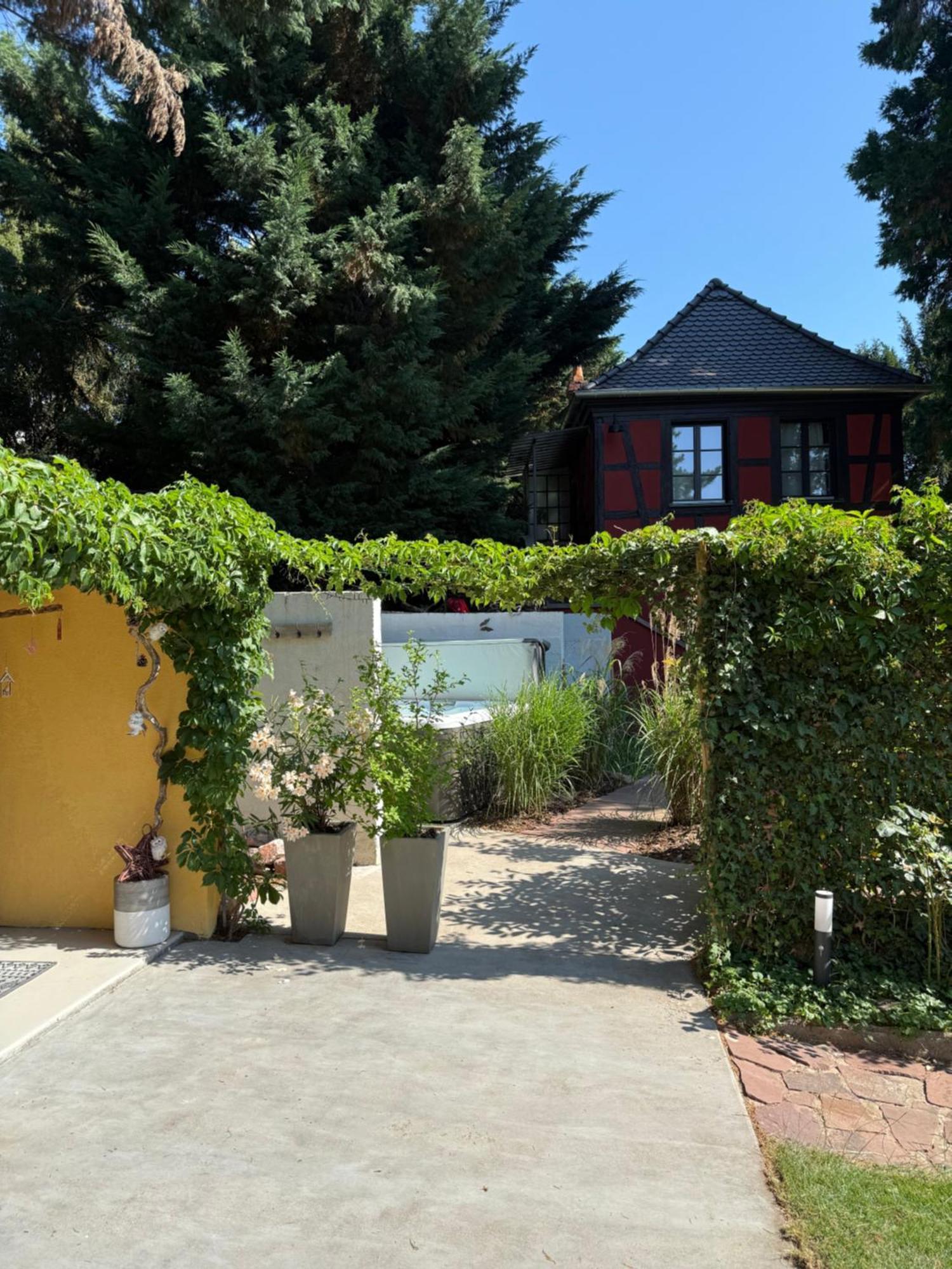 Holiday home Le Parc Du Sequoia & Proche Colmar Et Riquewihr *